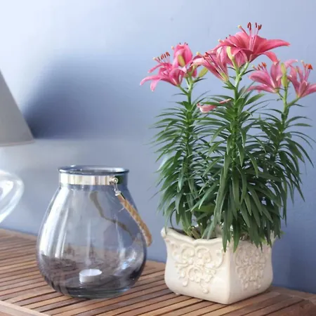 Apartment Flower Apart, Plac Solny